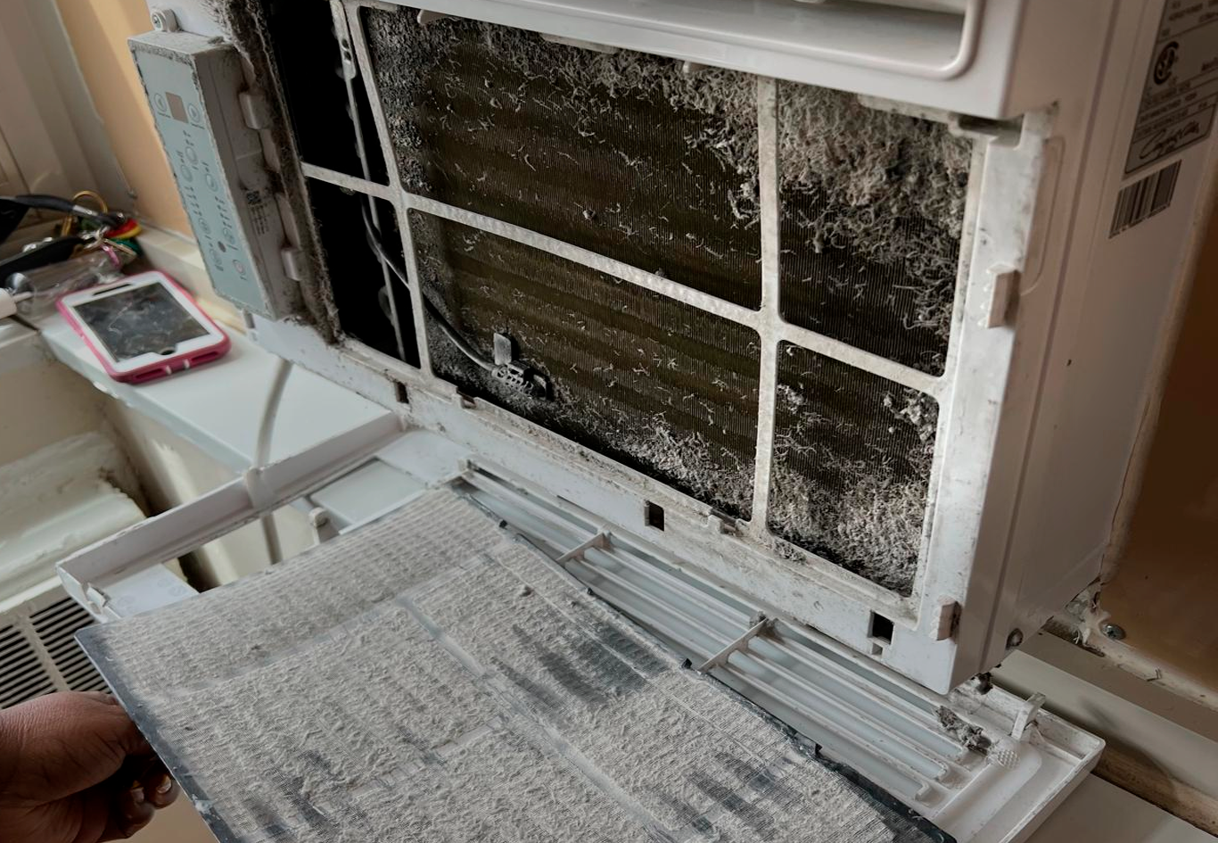 Servicio profesional de limpieza de carpetas